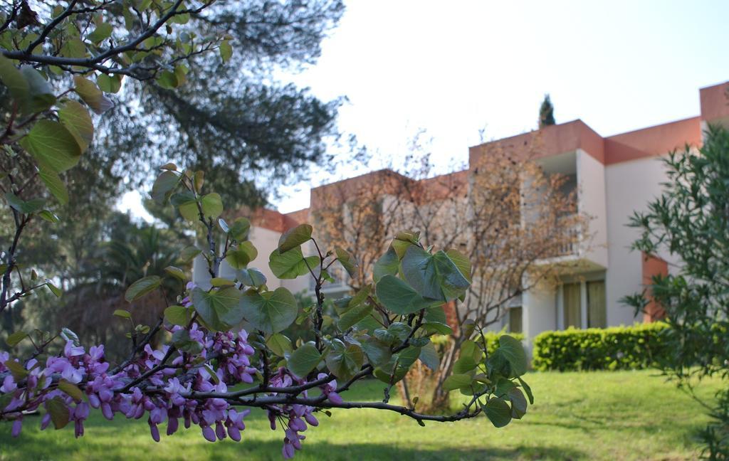 Apartmán Le Domaine Des Oliviers Saint-Cyr-sur-Mer Exteriér fotografie