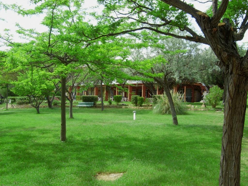 Apartmán Le Domaine Des Oliviers Saint-Cyr-sur-Mer Exteriér fotografie